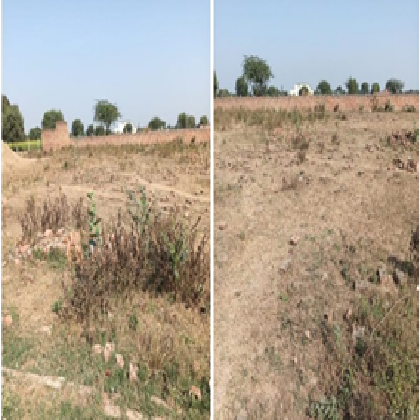 VIJAY TRADING-22052501